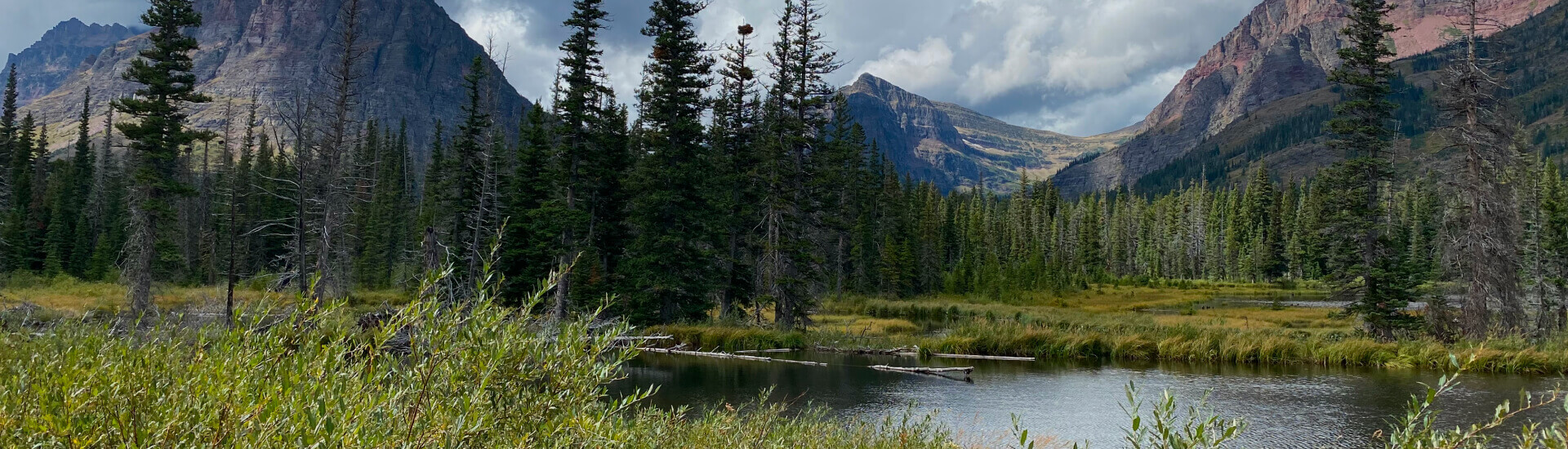 Land Value Alpha Insights